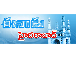 Article on lung point